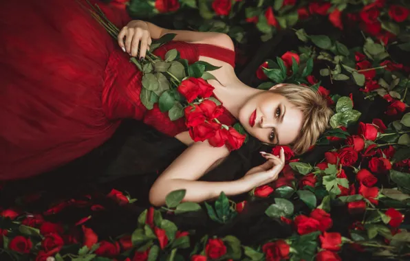HD posing with red flowers wallpapers | Peakpx
