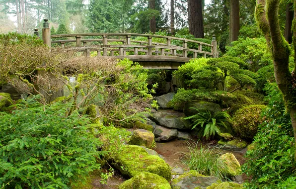 Greens, grass, trees, bridge, Park, stream, stones, moss