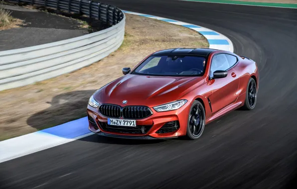 Picture coupe, track, round, BMW, Coupe, 2018, 8-Series, dark orange