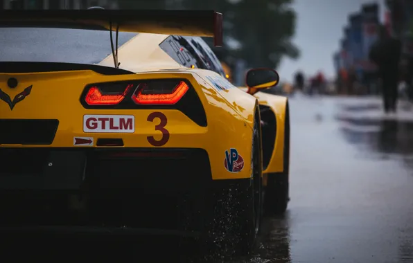 Corvette, Chevrolet, supercar, rear view, C7.R