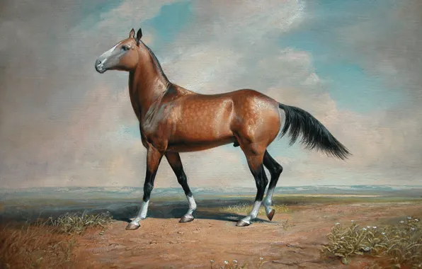 Picture the steppe, desert, horse, 2008, Aibek Begalin, Gauhar