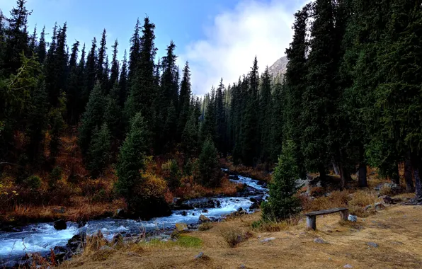 Mountains, gorge, journey, mountain river, the gorge Shamsi