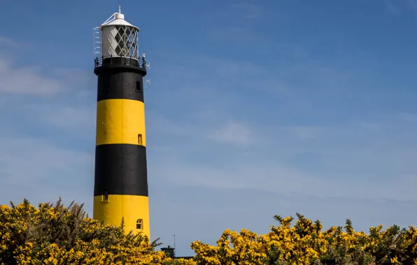 Coast, lighthouse, Ireland, Bumble Bee Lighthouse