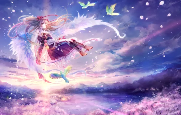 Wings, angel, anime, Sakura, birds