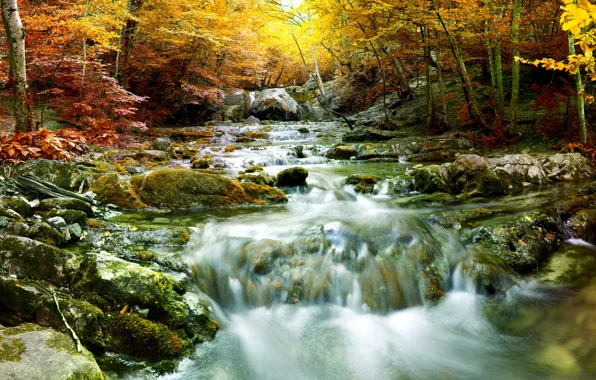 Autumn, forest, trees, waterfall, river