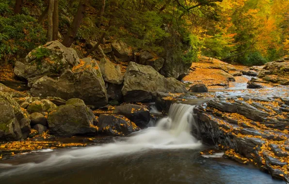 Autumn, forest, stones, waterfall, PA, cascade, Pennsylvania, State Park Ohiopyle