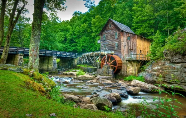 Picture forest, trees, bridge, stream, stones, USA, Babcock State Park, water mill