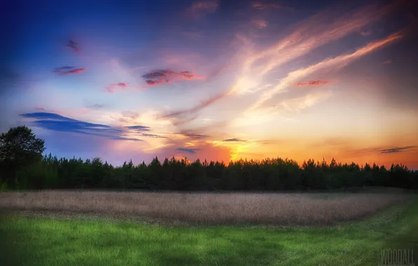 Forest, the sky, clouds, meadow, photographer, Aaron Woodall, scarlet sunset