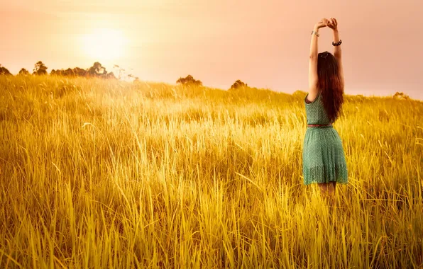 Field, summer, girl