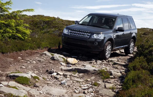 Picture stones, Land Rover, the front, Land Rover, Freelander 2, Freelander 2