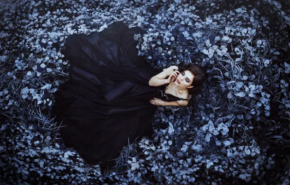 DRESS, BRUNETTE, BLACK, PURPLE