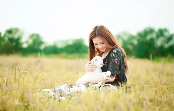 Picture girl, nature, sheep