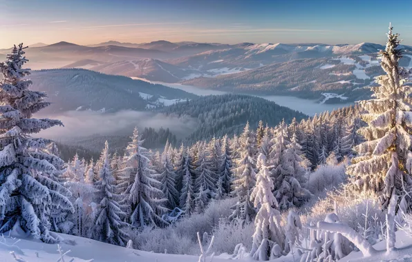 Winter, frost, forest, the sky, clouds, snow, mountains, fog