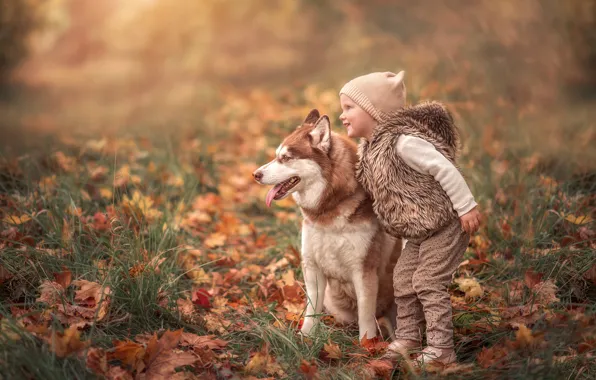 Picture autumn, dog, girl, friends, husky, fallen leaves, Martha the Goat