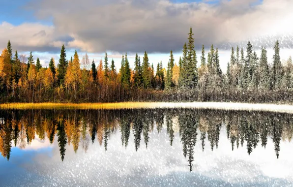 Picture winter, autumn, landscape, nature, lake