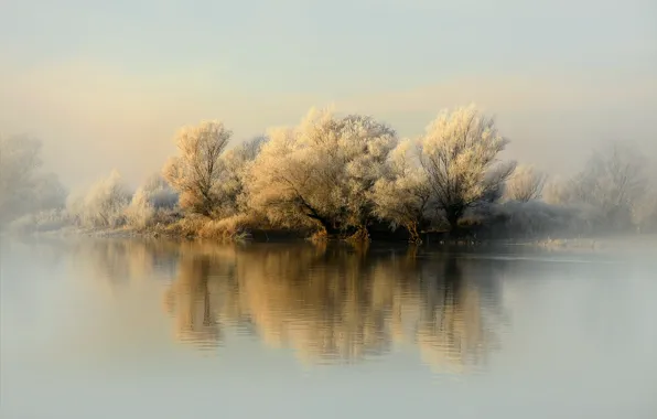 Winter, frost, trees, nature, river, the first snow