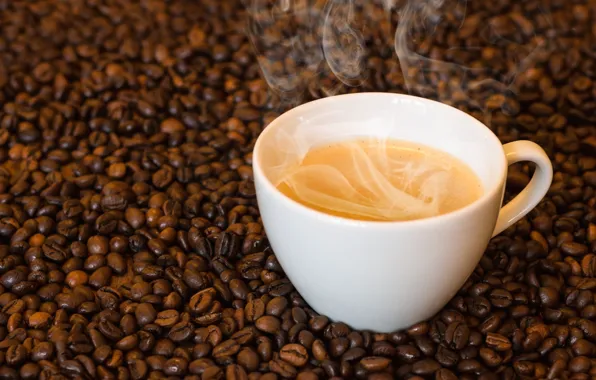 Coffee, grain, Cup, aroma, foam