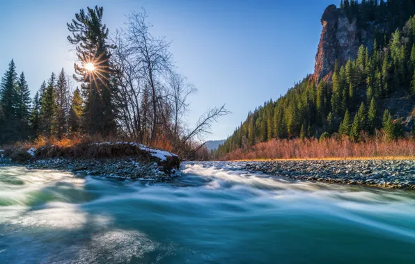 Forest, rock, river, Russia, taiga, Khakassia, Siberia, The Black Jus River