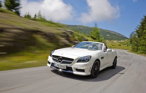 Picture cars, auto, AMG, wallpapers auto, Mercedes Benz SLK55 AMG, Mercedes-Benz SLK55