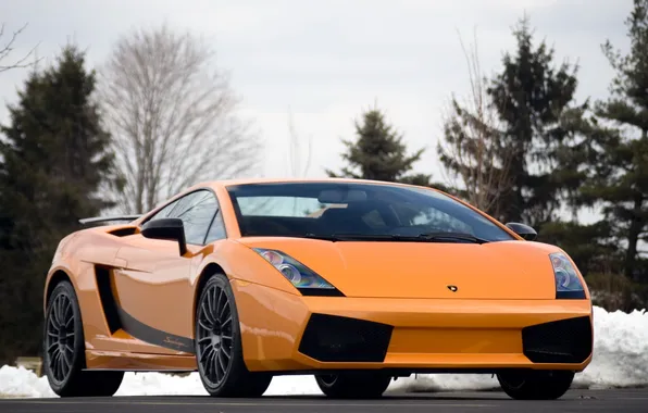 Orange, ate, supercar, supercar, front view, orange, Lamborghini, lamborghini gallardo superleggera