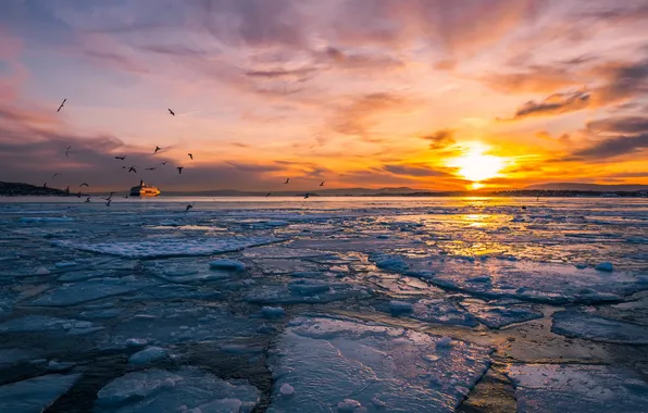 Picture ice, winter, sunset, birds, ship, Bay