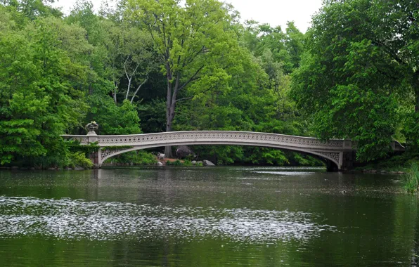 Picture New York, Bridge, New York, Central Park, The bridge, Central park