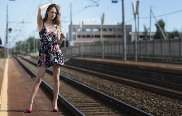 Picture face, background, hair, dress, legs, cutie, Erika