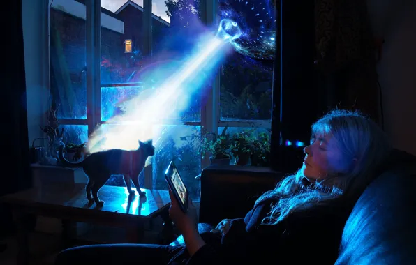 Cat, glass, light, night, lights, darkness, table, fiction