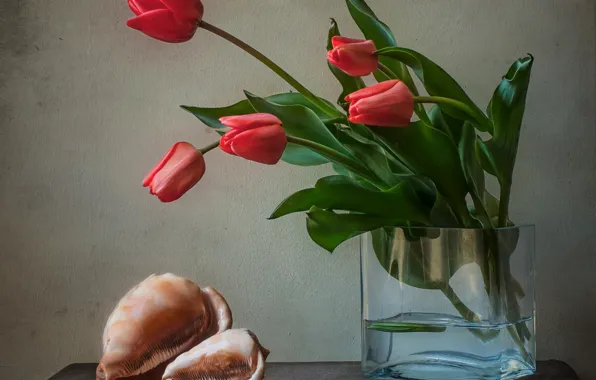 Picture flowers, sink, tulips, vase, shell, still life