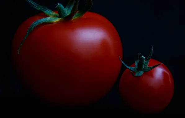 Macro, small, large, tomatoes