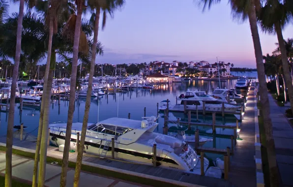 The city, Marina, boats, the evening