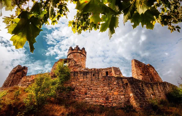 The sky, clouds, branches, castle, foliage, Germany, old, maple