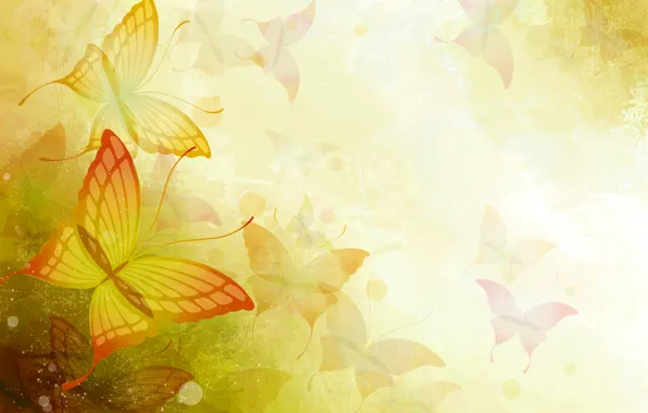 Butterfly, paint, wings, vector, silhouette, moth