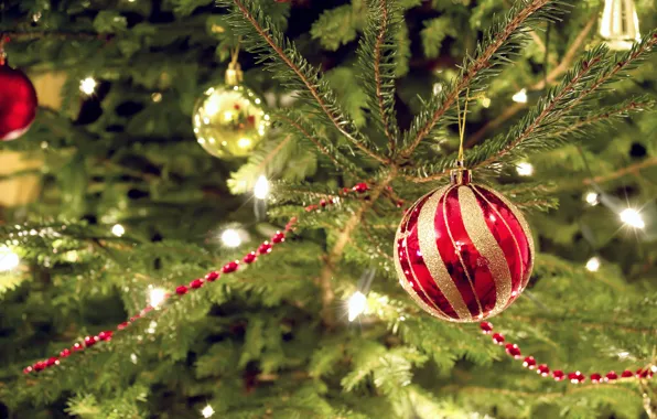 Decoration, red, lights, holiday, spruce, ball, deviantart, bo0xVn