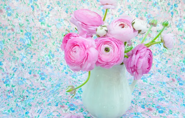 Background, pink, pitcher, buds, Ranunculus
