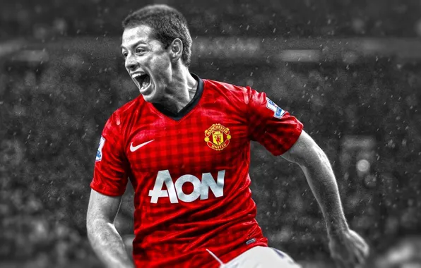 Joy, football, player, player, Football, Manchester United, Manchester United, Javier Hernandez