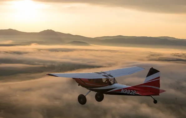 The sky, morning, the plane