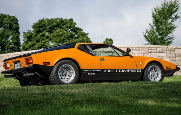 Panther, 1971, GTS, De Tomaso, Pantera, De Tomaso