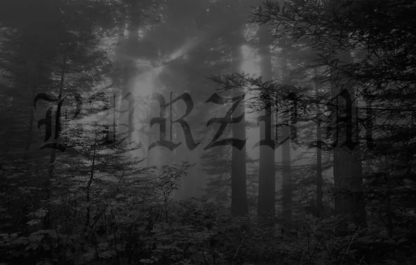 Burzum Wallpapers Wallpapers