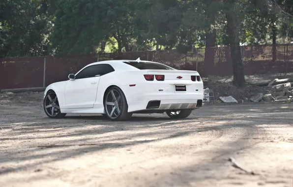 Picture white, trees, black, the fence, white, wheels, Chevrolet, drives