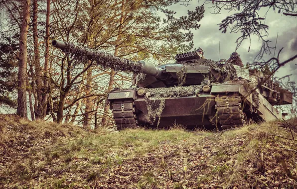 Forest, tank, combat, Leopard 2A6M