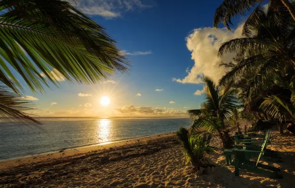 Sand, beach, sunset, palm trees, the ocean, Cook Islands, Pacific Ocean, The Pacific ocean