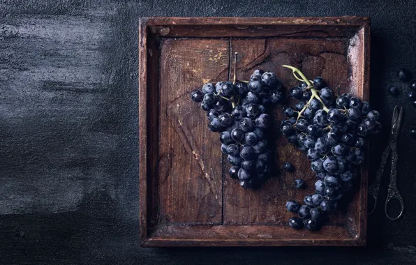 Blue, the dark background, grapes, bunch, scissors, tray