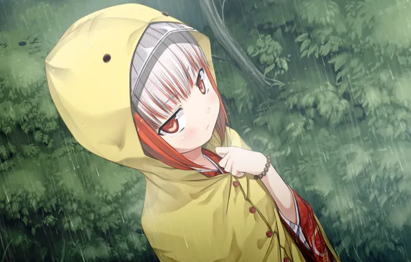 Picture the rain, anime, art