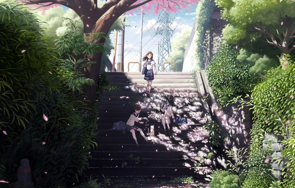 Trees, girls, wire, anime, petals, Sakura, art, Schoolgirls