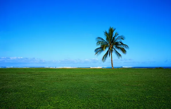 Picture sea, the sky, grass, clouds, landscape, Palma, Wallpaper, horizon