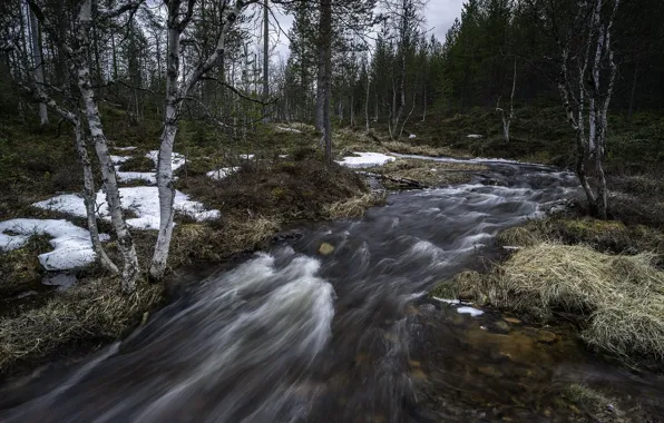 Picture nature, river, Lapland, Spring time
