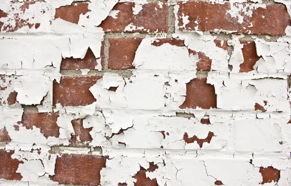 Wall, texture, bricks