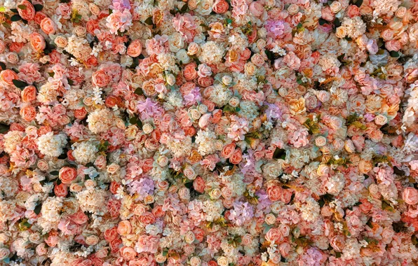 Flowers, roses, bouquet, yellow, pink, white, placer, orange