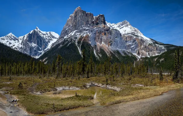Forest, trees, mountains, lake, blue, rocks, the slopes, tops